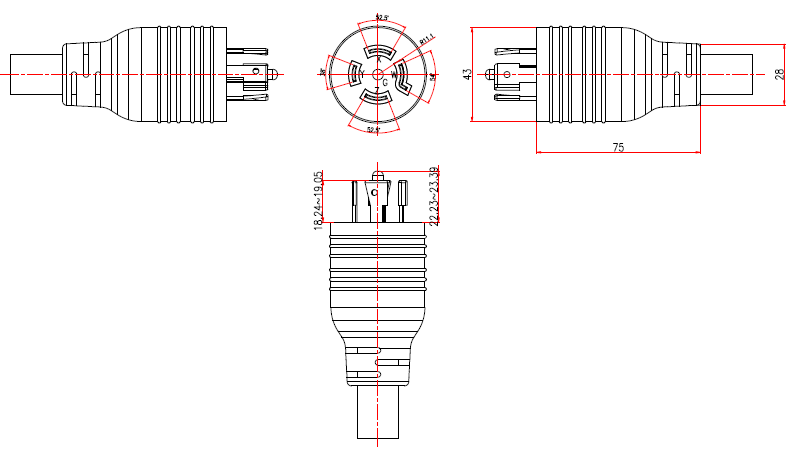 NEMA-L21-20P (P362)