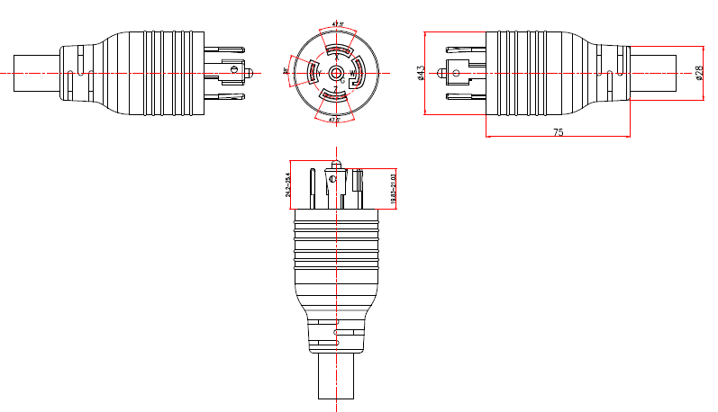 NEMA-L21-30P (P363)