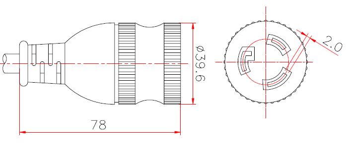 NEMA-L5-20R (S307)