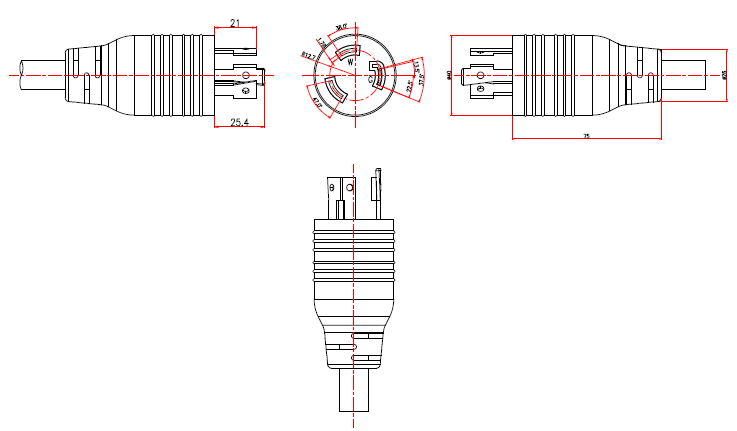 NEMA-L5-30P (P359)